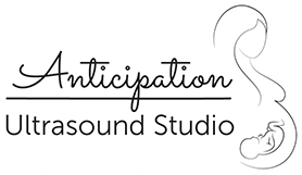 AUS Logo